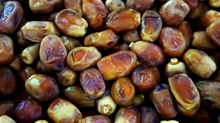 رویداد بینالمللی خرمای بوشهر؛ طلای شیرین جنوب در مسیر توسعه