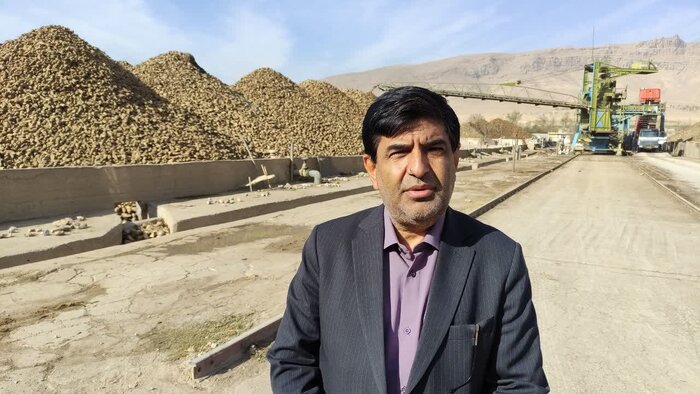 تداوم تحویل چغندرقند از کشاورزان چهارمحال و بختیاری تا ۲۰ روز آینده