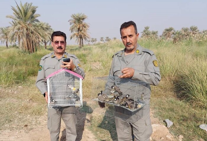 رهاسازی ۸۰ پرنده حمایتشده در زیستگاههای طبیعی خوزستان