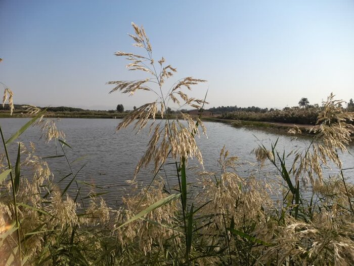 برنامه‌ریزی جامع برای توسعه آبزی‌پروری و اشتغال با واگذاری اراضی شیلات به مرزنشینان