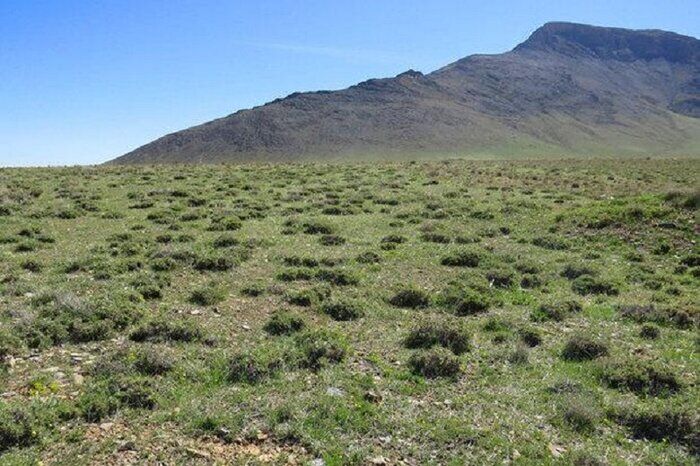 نماینده گنبدکاووس: جذب اعتبار بین‌المللی برای منابع طبیعی گلستان ضروری است