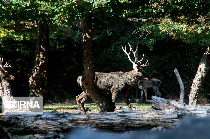 مشارکت مردم در صیانت از منابع طبیعی، اعتمادساز است