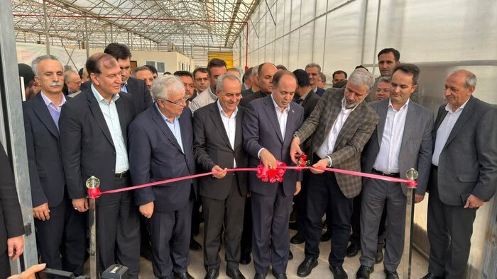 وزیر جهاد کشاورزی: نمی‌توانیم تولید را متوقف کنیم، مصرف آب را مدیریت می‌کنیم