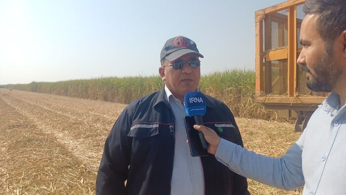 نیشکر خوزستان؛ طرح تمدنی در مسیر امنیت غذایی، توسعه پایدار و اقتصاد مقاومتی