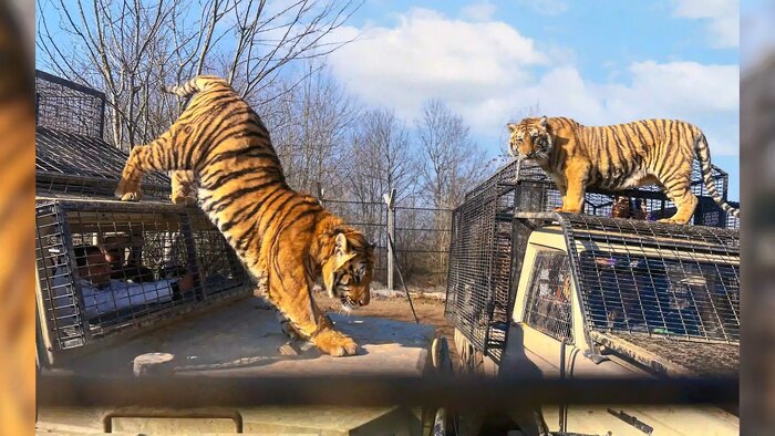 سوژههای داغ زیستمحیطی در فضای مجازی مازندران؛ از آلودگی هوا تا دماوندِ بیبرف