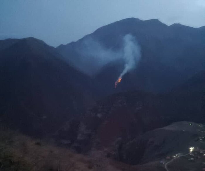 آتش دوباره در جنگل‌های مرزن‌آباد چالوس شعله‌ور شد