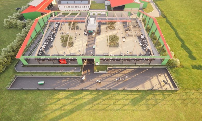 دامداری نوین؛ تلفیق رفاه حیوانات با فناوری پیشرفته