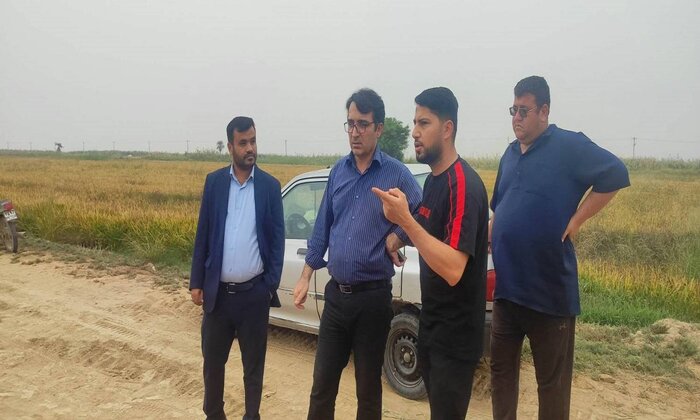 کاهش چشمگیر سوزاندن بقایای شلتوک در باوی