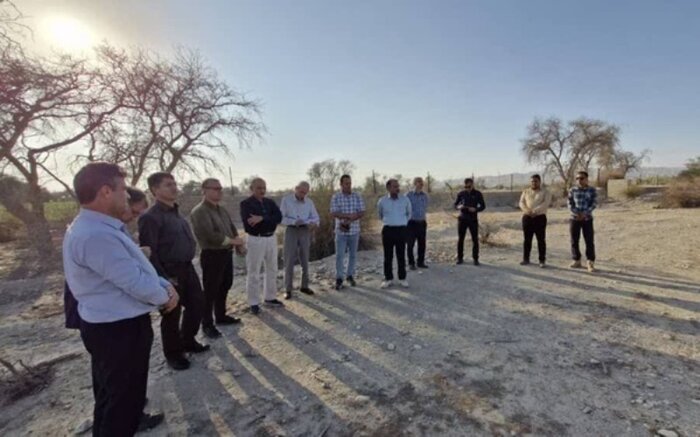 رویشگاه ژنتیکی آکاسیا آلبیدا منحصربه فرد کشور در معض تهدید جدی