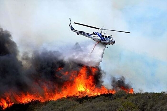 نفس جنگل های هیرکانی به شماره افتاد