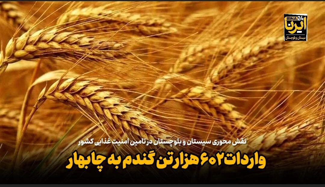 واردات ۶۰۲ هزار تن گندم به چابهار+فیلم