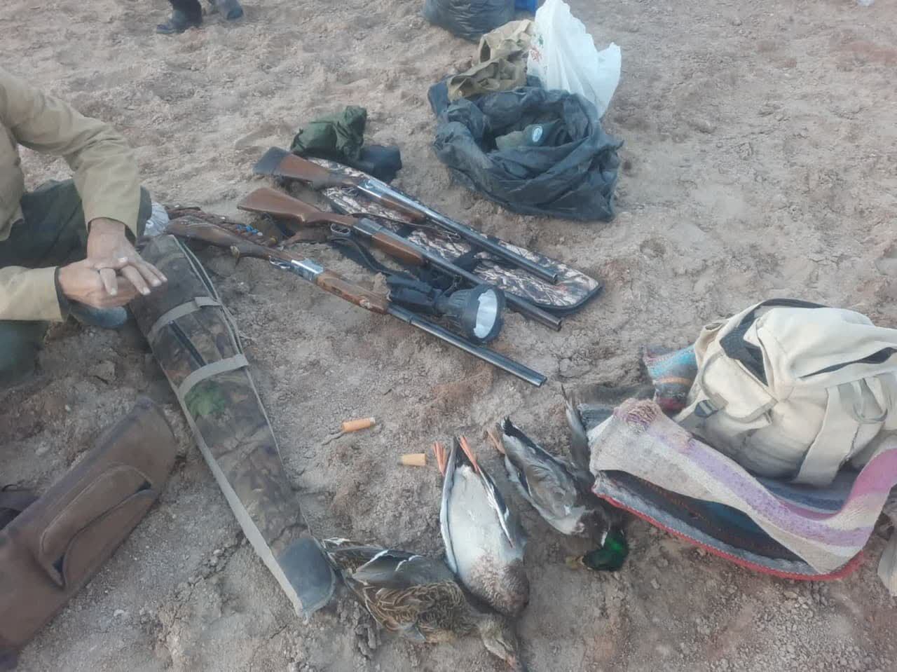 شکارچیان متخلف در تالاب مُرّه قم دستگیر شدند