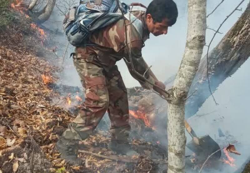 آتش در جنگل‌های کلاردشت شعله‌ور شد