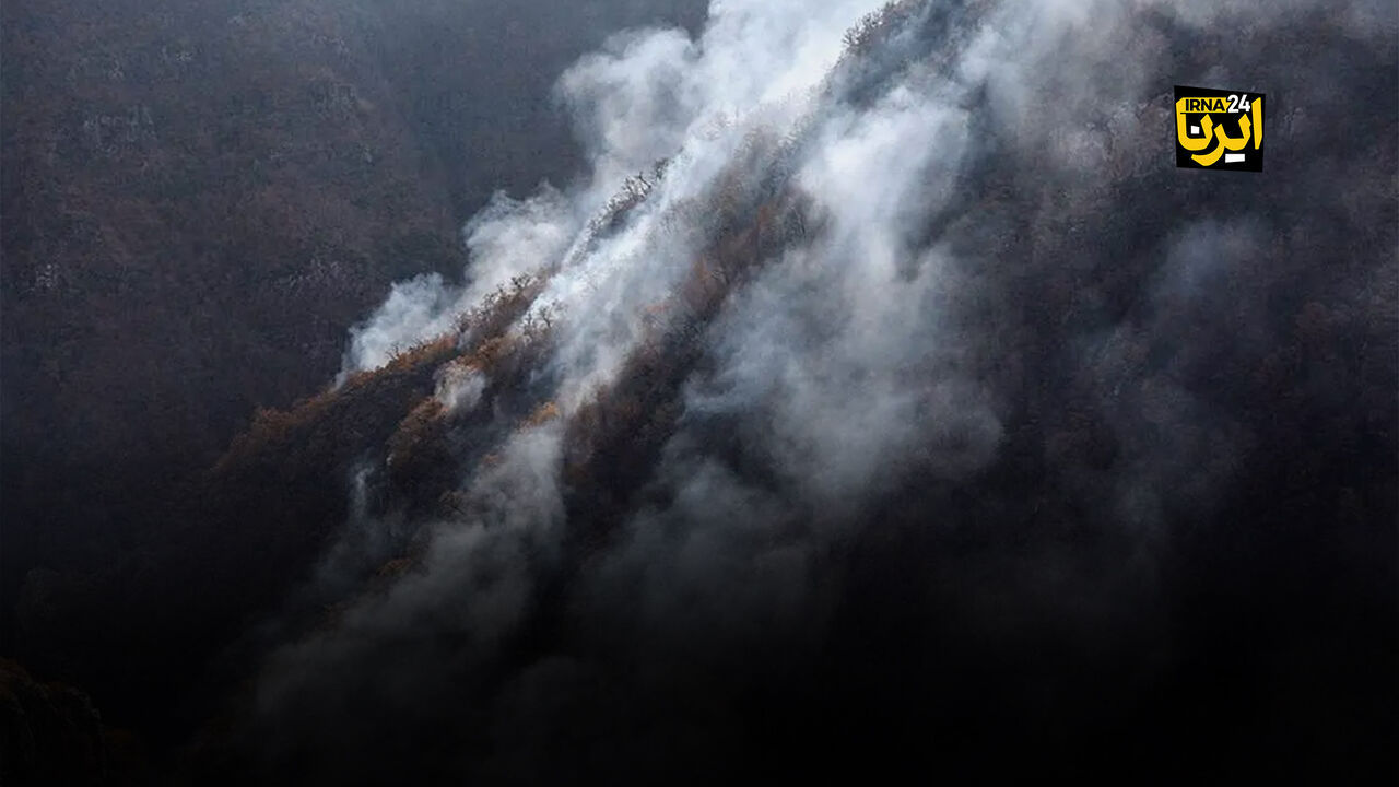 علت آتش پاییزی جنگل هیرکانی «الیت»