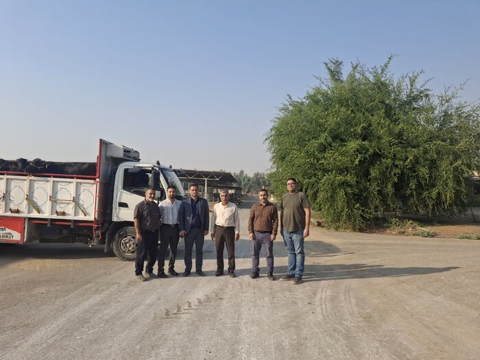 گاومیش اصلاح شده خوزستان به عرصه تولید رسید