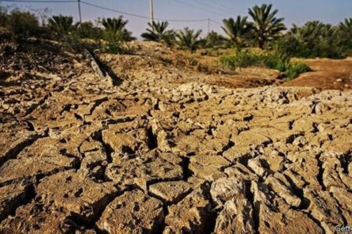 سالهای خشکِ کم باران بوشهر؛ با تهمانده منابع آبی چه باید کرد؟