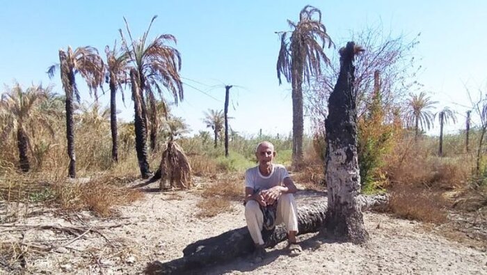 سالهای خشکِ کم باران بوشهر؛ با تهمانده منابع آبی چه باید کرد؟