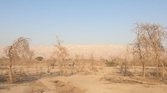 سالهای خشکِ کم باران بوشهر؛ با تهمانده منابع آبی چه باید کرد؟