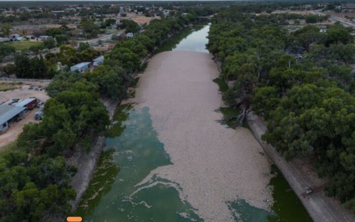 تشنگی با مدیریت درمان میشود؛ استرالیا چگونه راه نجات آب را پیدا کرد؟