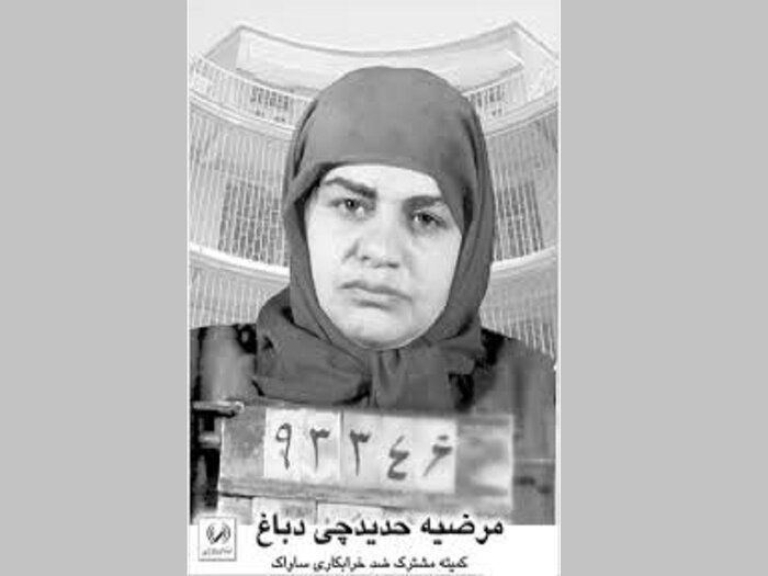 فراز و نشیب‌های زندگی مادر انقلاب در «بانوی چریک»