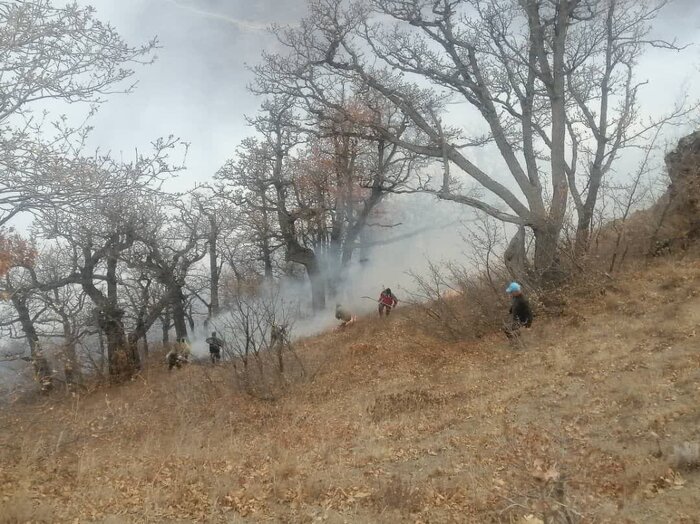 اعزام نیروهای کمکی از گیلان و مرکز مازندران برای مهار آتشسوزی جنگلهای چالوس