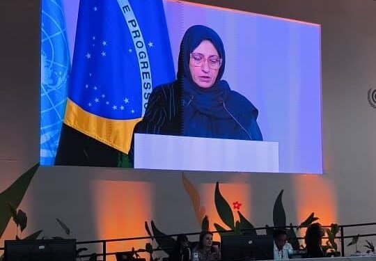 ایران در کاپ ۳۰ بر ضرورت تامین مالی برای اقدام اقلیمی کشورهای در حال توسعه تاکید کرد 