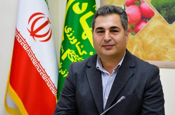 اجرای طرح کاشت مشارکتی ارقام اصلاح شده در دیمزارهای چاراویماق