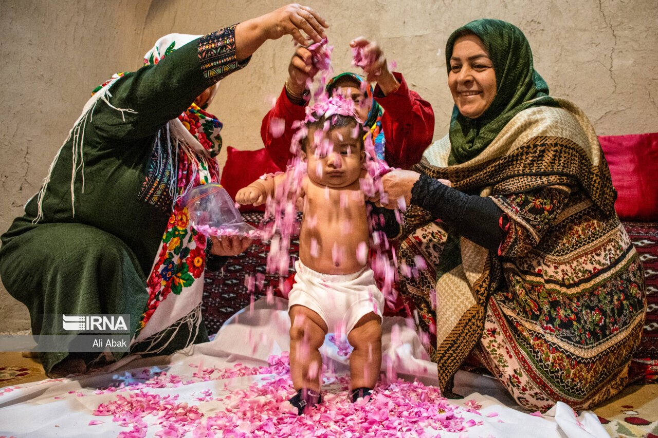 ماء الورد متجذر في أعماق التاريخ والثقافة والتراث الإيراني ماء الورد متجذر في أعماق التاريخ والثقافة والتراث الإيراني