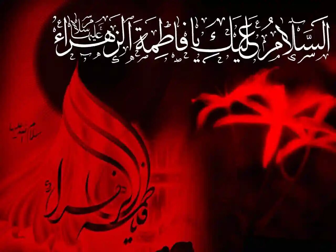 سوگ "فاطمی" لرستان را سیاهپوش کرد