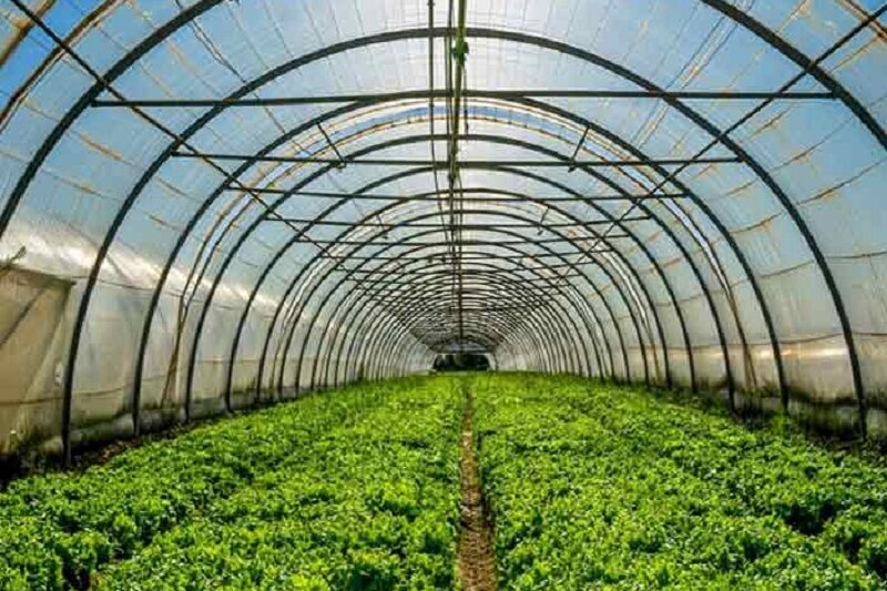 استاندار اصفهان نسخهای چندوجهی برای علاج دردها پیچیده