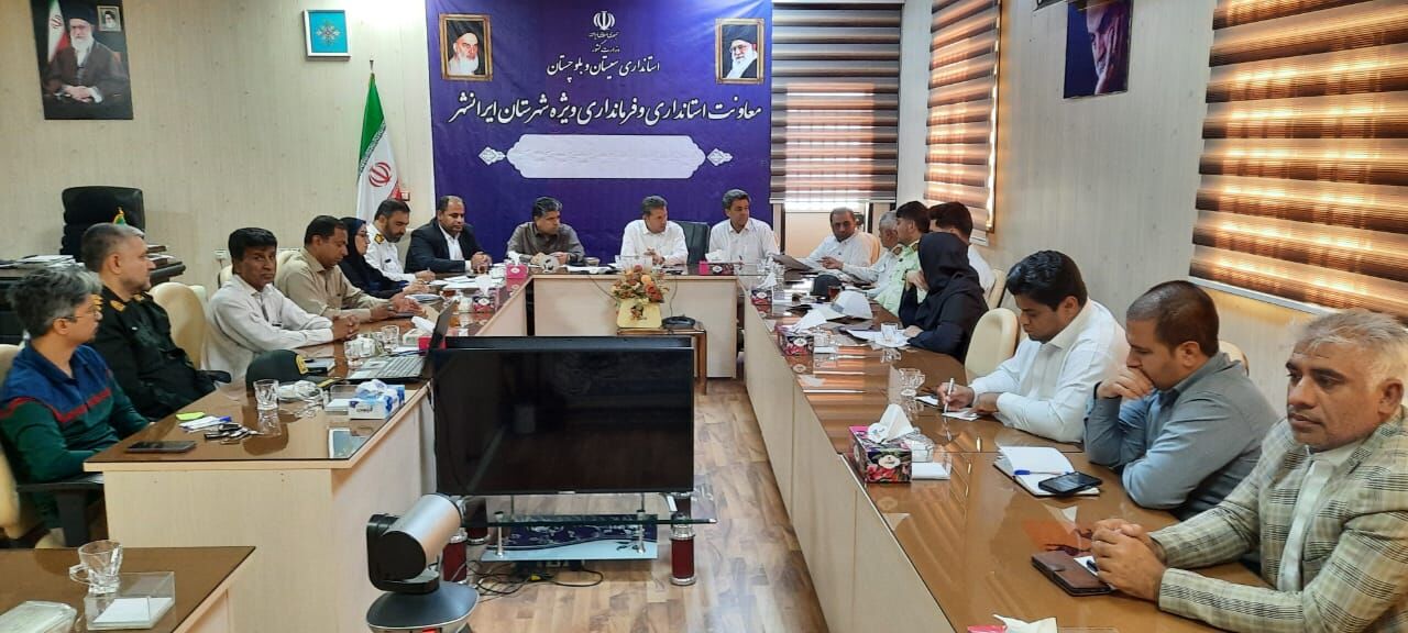 فرماندار ایرانشهر: توقف خودروهای بدون پلاک راهکاری برای ارتقای امنیت ترافیکی ضروری است