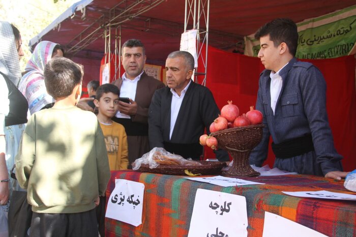 برگزاری شکرانه برداشت انار در روستای ساتیاری پاوه/رویدادی برای پاسداشت فرهنگ اصیل اورامان