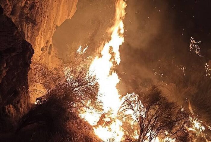 پمپاژ آب از رودخانه برای مهار آتش سوزی جنگل «الیت»