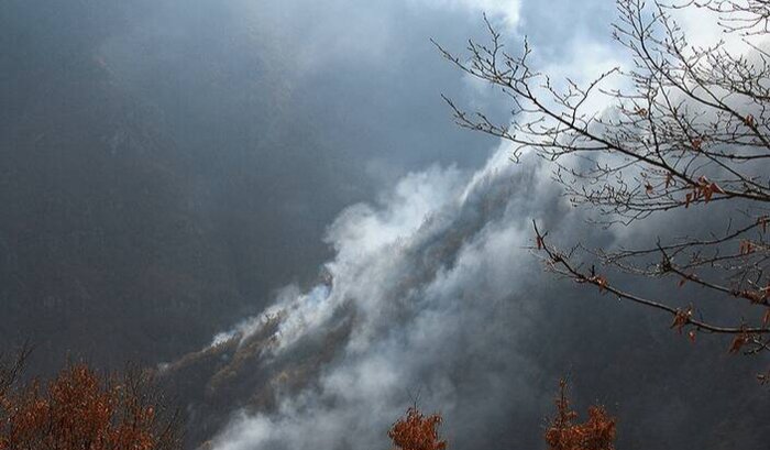 رئیس سازمان مدیریت بحران کشور: از سرایت آتش سوزی به منطقه مرزنآباد جلوگیری شد