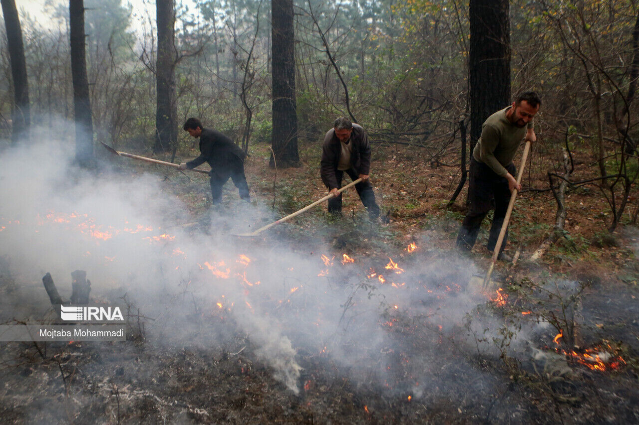 نیاز ضروری مازندران به پایگاه‌های اطفای حریق برای حفاظت از جنگل‌های هیرکانی