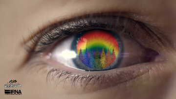 «هفت رنگ ایران»؛ زندگی با جاروبافی  