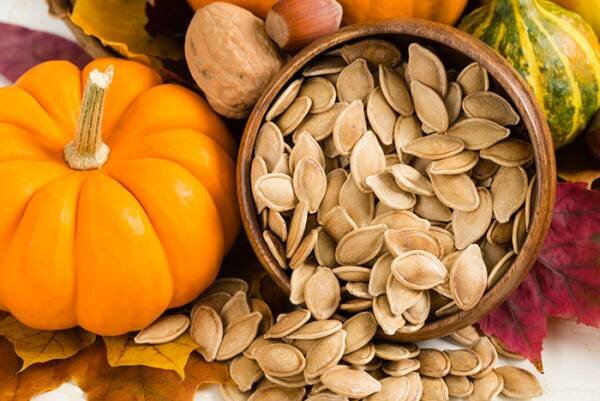 همه چیز درباره تخمه کدو؛ از طعم تا خواص شگفتانگیز