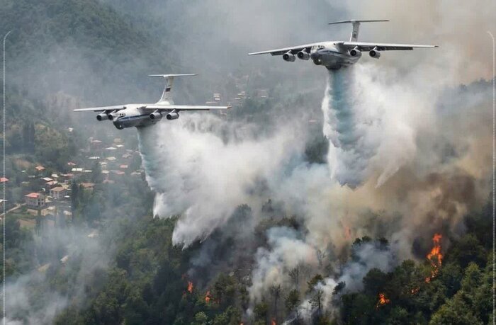 بخش زیادی از عرصه های جنگلی چالوس از خطر نابودی نجات یافت