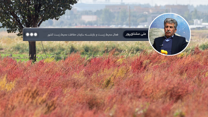 «علی مشتاقپور»، کارشناس محیط زیست