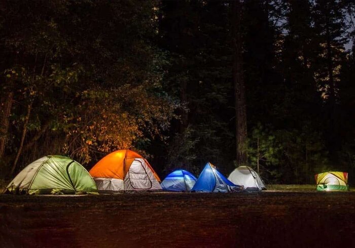 «الیت» تنها نیست +‌فیلم