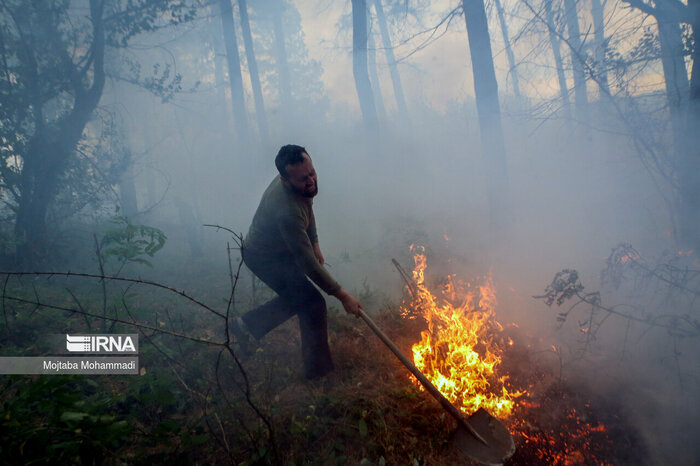ردپای تورهای مسافرتی در آتشسوزی جنگل الیت