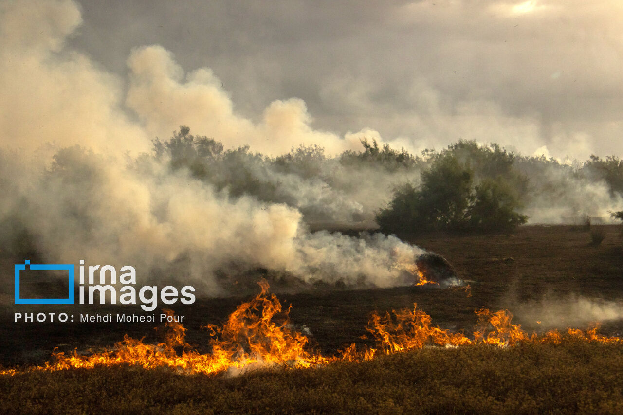 پاییز البرز می‌سوزد، تابستان زاگرس