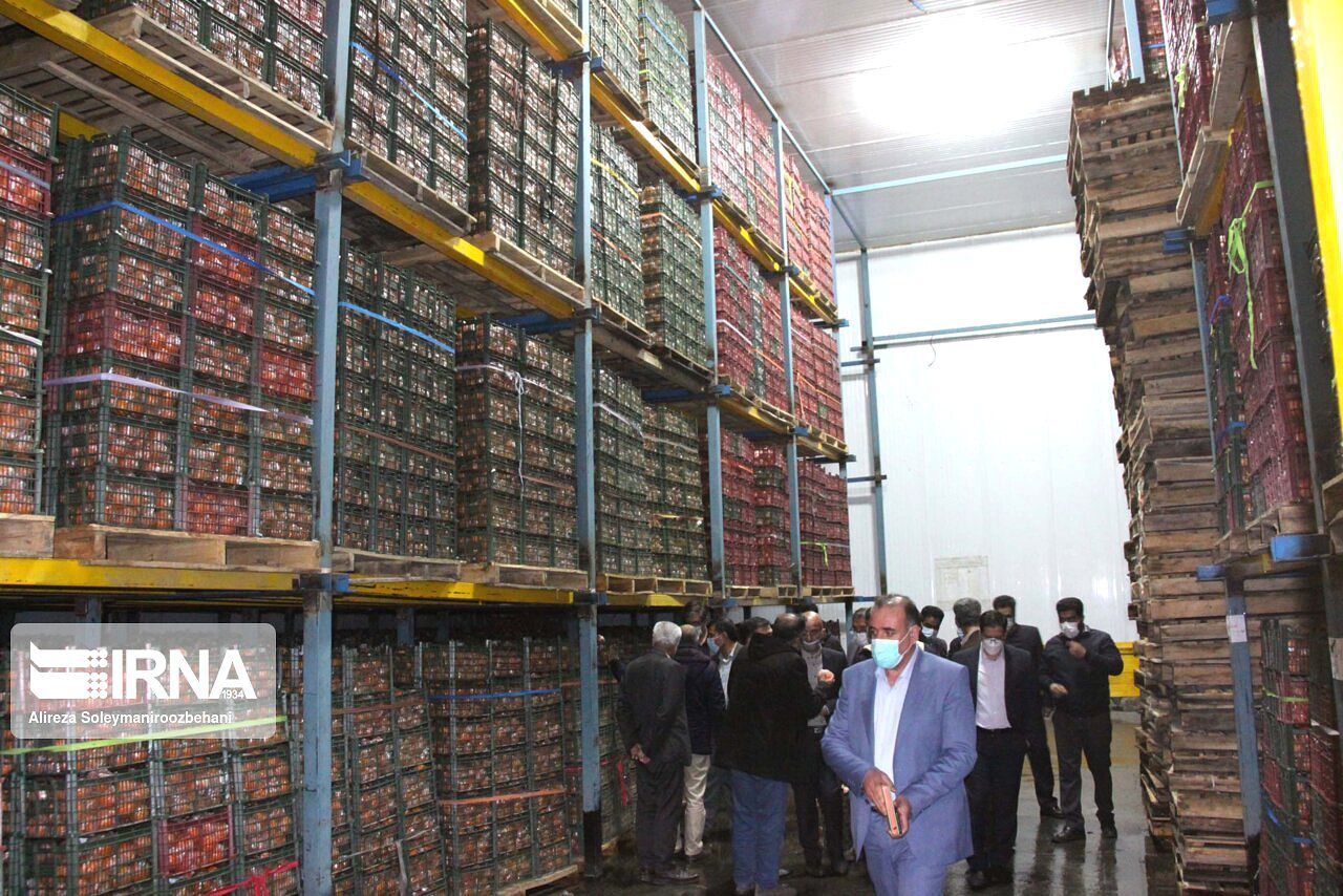 از ری تا سفره مردم؛ نقش حیاتی سردخانه‌ها  در امنیت غذایی و تنظیم بازار