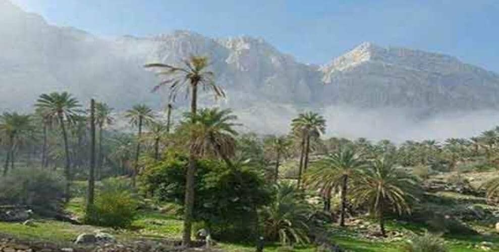 جم؛ از تمدن کهن تا قطب رسانه‌ای معاصر