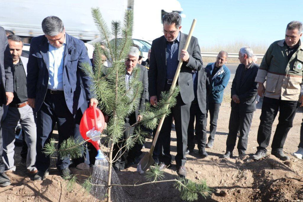 پهنه‌های مستعد درختکاری در استان اردبیل شناسایی می‌شود