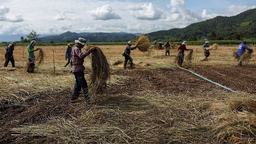 تهدید خاموش در دل رودخانه‌های آسیا