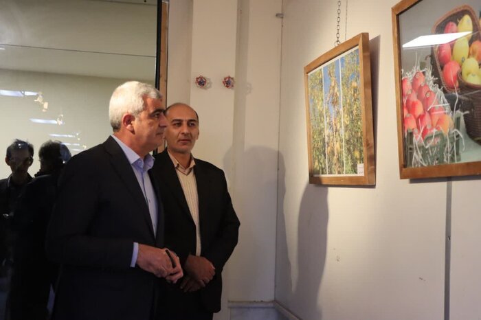 نمایشگاه عکس و نقاشی سیب مراغه گشایش یافت