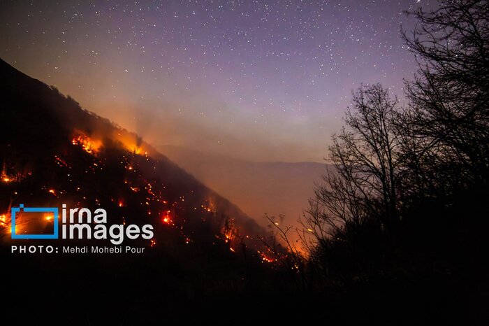 Fire knows no borders; saving our shared home requires a green