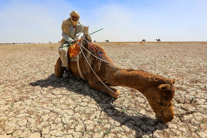 تالاب بیآب کرمان؛ جازموریان تشنه بودجه ملی
