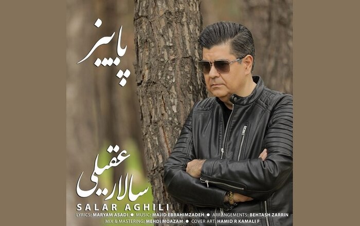 «چهره پاییز» وحید تاج و «گیسوی باران» علیرضا قربانی را بشنویم